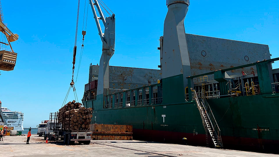 LUMIN® cargó un nuevo buque de trozas de pino, con destino China.