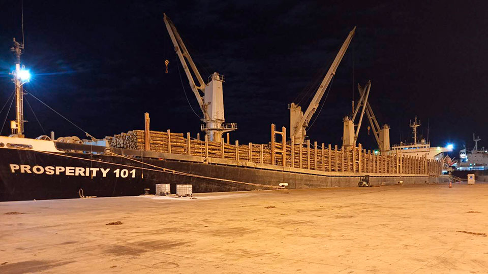 LUMIN® cargó el cuarto buque de trozas de pino en lo que va del 2023, destino final China.