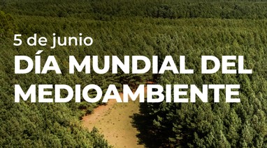 Comprometidos con el ambiente