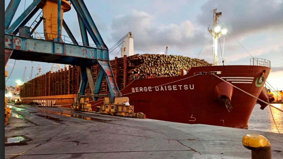 LUMIN® Finalizó la carga de un nuevo buque de trozas de pino, destino India