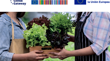 Lumin destacada en buenas prácticas de empresas agropexportadoras de Latinoamérica y Unión Europea