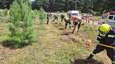Taller de prevención y combate de incendios forestales