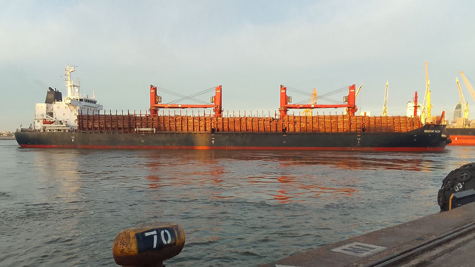 LUMIN® cargó el primer buque del 2023 de trozas de pino, destino INDIA