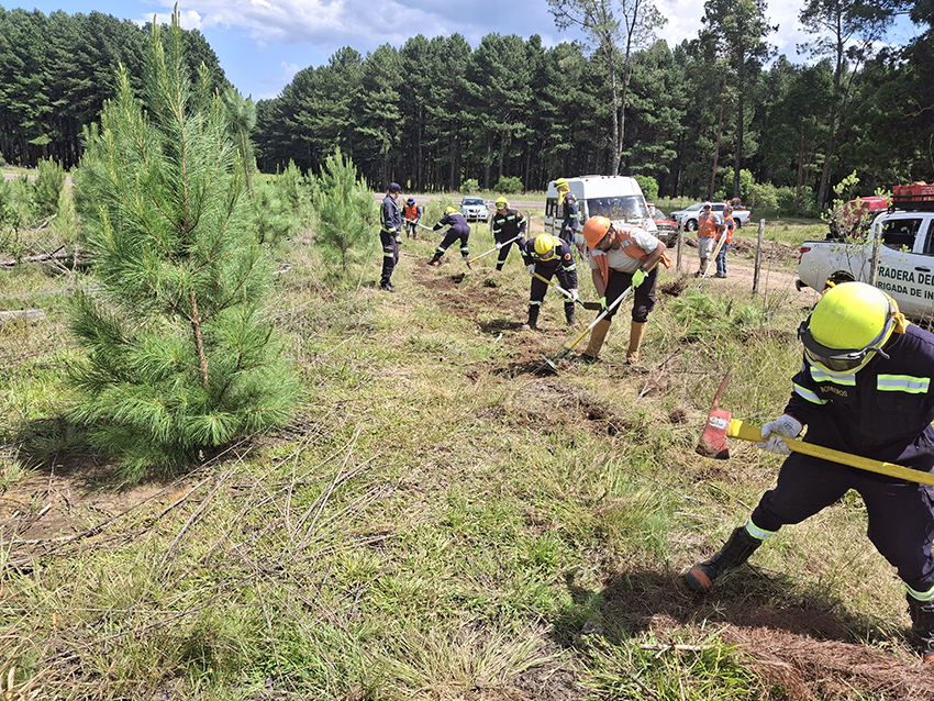 Taller de prevención y combate de incendios forestales
