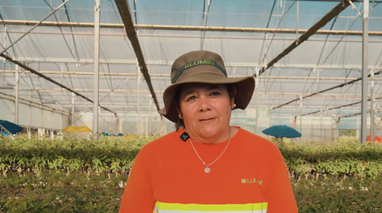 2026: We celebrate the rural women who drive our country’s forestry and timber value chain.