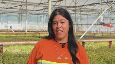 2026: Celebramos a las mujeres rurales que impulsan la cadena forestal-maderera de nuestro país.