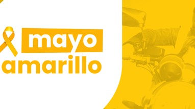 Mayo Amarillo