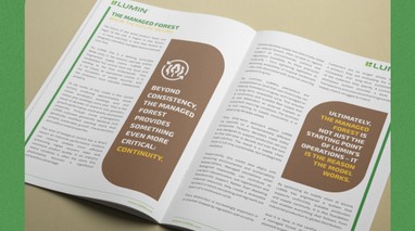 La industria mundial del plywood se encuentra en un punto de inflexión.