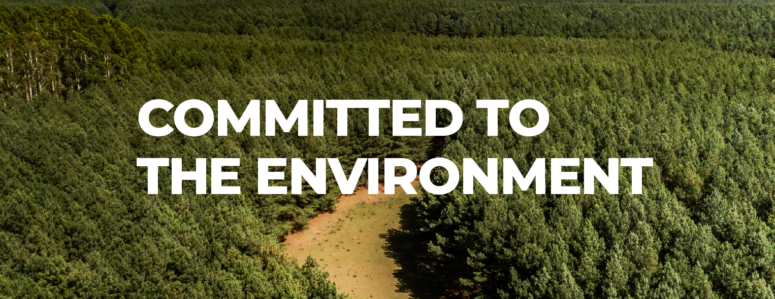 World Environment Day.
