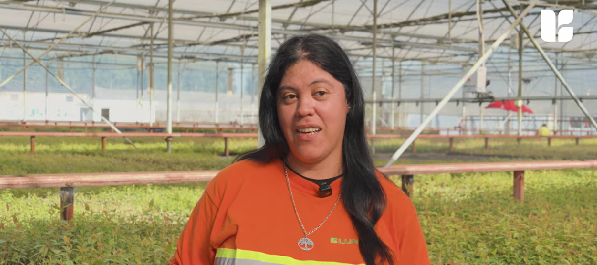 2026: Celebramos a las mujeres rurales que impulsan la cadena forestal-maderera de nuestro país.