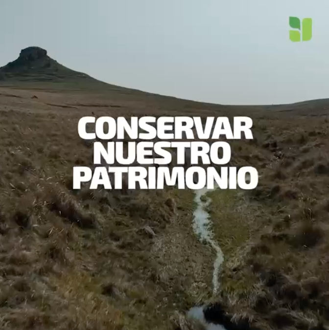 Día del Patrimonio
