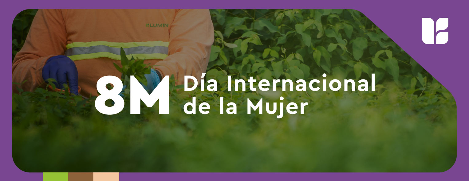 8M Día Internacional de la Mujer