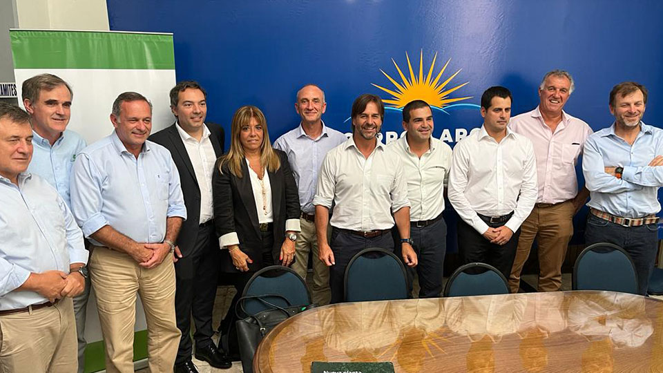 Lumin invertirá US$ 136 millones en una nueva planta de plywood en Uruguay, ampliando la capacidad de producción a casi 500 mil metros cúbicos