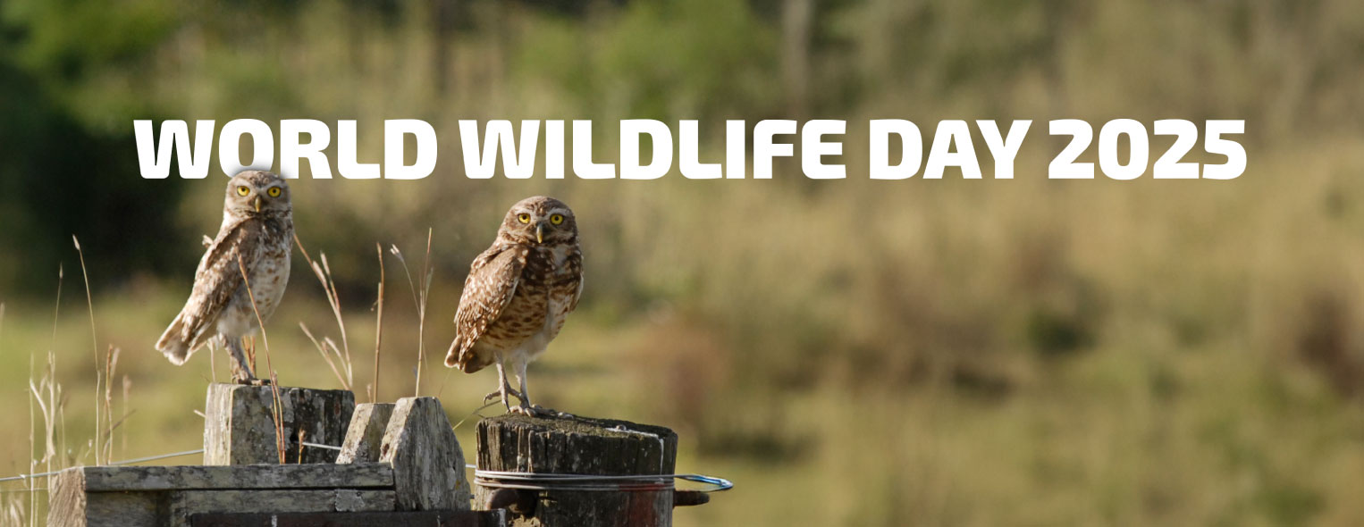 Proud to support World Wildlife Day